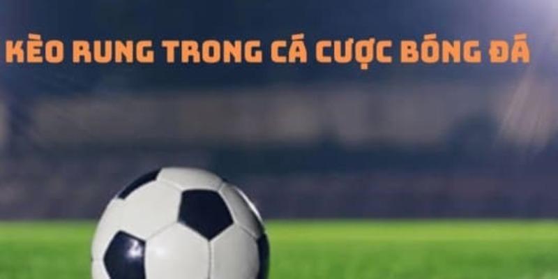 Hướng dẫn cược thủ cách đọc đúng các tỷ lệ kèo rung